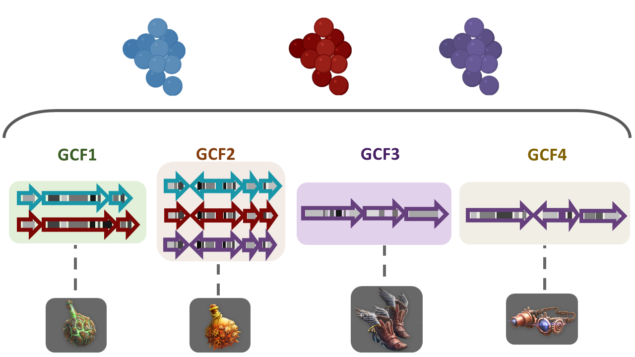 Three biomolecules are depicted in three different colors; blue, red and purple. These molecules are present in BGCs of diverse bacterial lineages and in turn grouped into Gene Cluster Families (GCFs). GF1 contains three domains related to the blue molecule and three from the red molecule. GF2 contains four domains of each of the molecules, blue, red and purple. GCF3 and GCF4 contain each three domains associated with the purple biomolecule but different from each other. Every GCF produces a different metabolite, here represented as weapons or tools.