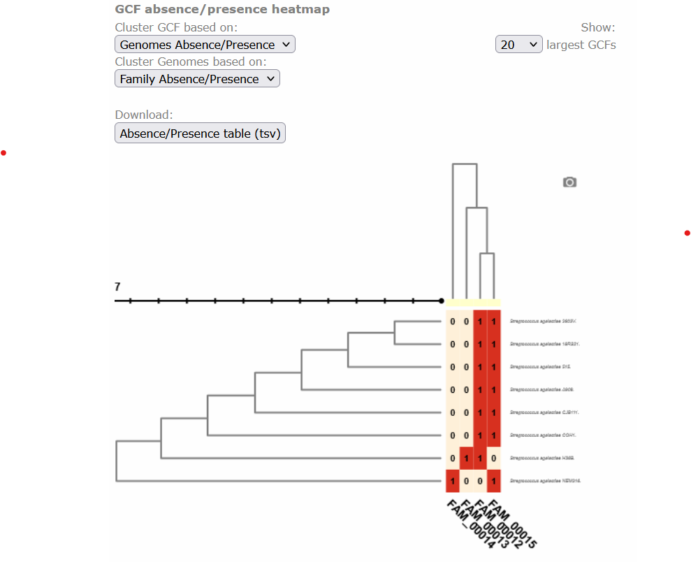 BIG-SCAPE output as visualized in the web page.
The overview page displaying the clustered heatmap of the presence/absence of the GCFs,
each class organized as a column at the base of the table, in each genome,
which are organized as rows at the right side of the table. Presence is depicted in red with 1 and absence in beige with 0.
