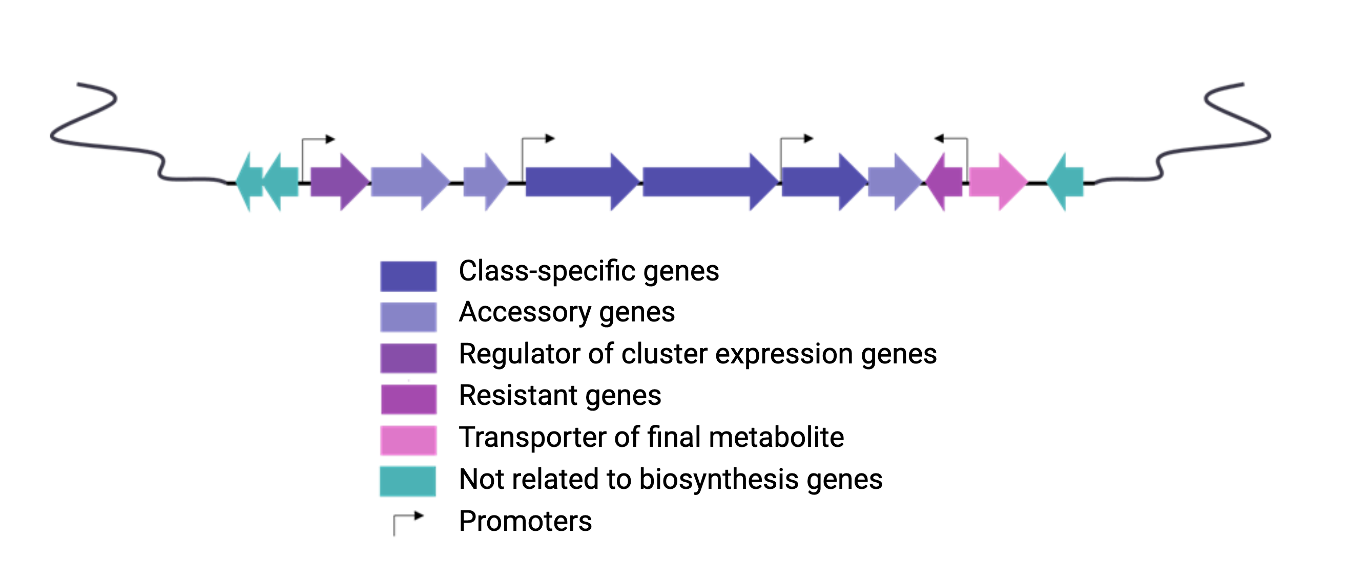 BGC arrange example