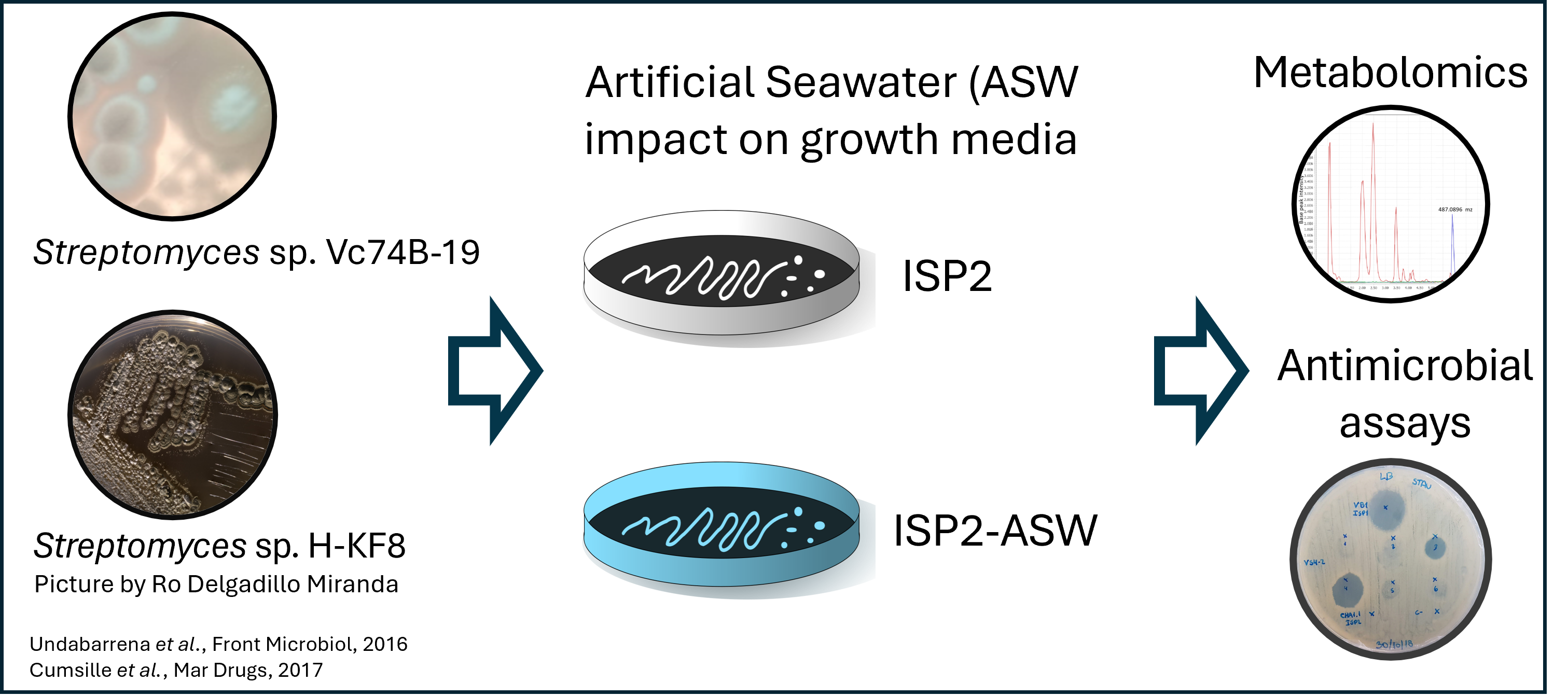Data collection from *Streptomyces* sp. H-KF8, and *Streptomyces* sp. Vc74B-19.