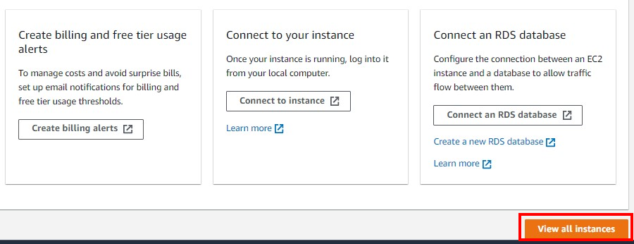 Button View all instances highlighted.