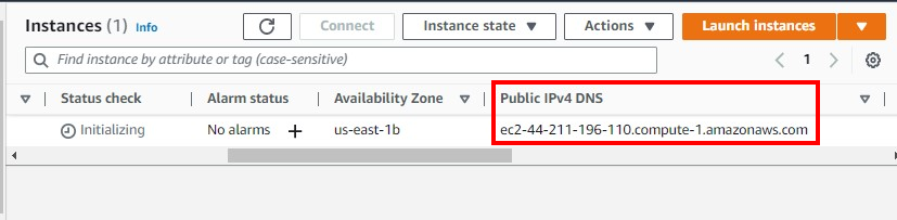 Public IPv4 highlighted.