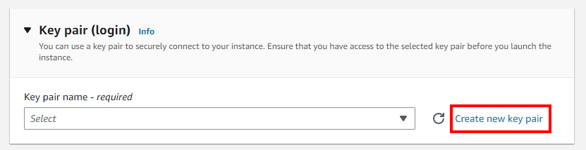Create new key pair highlighted in the Key pair box.