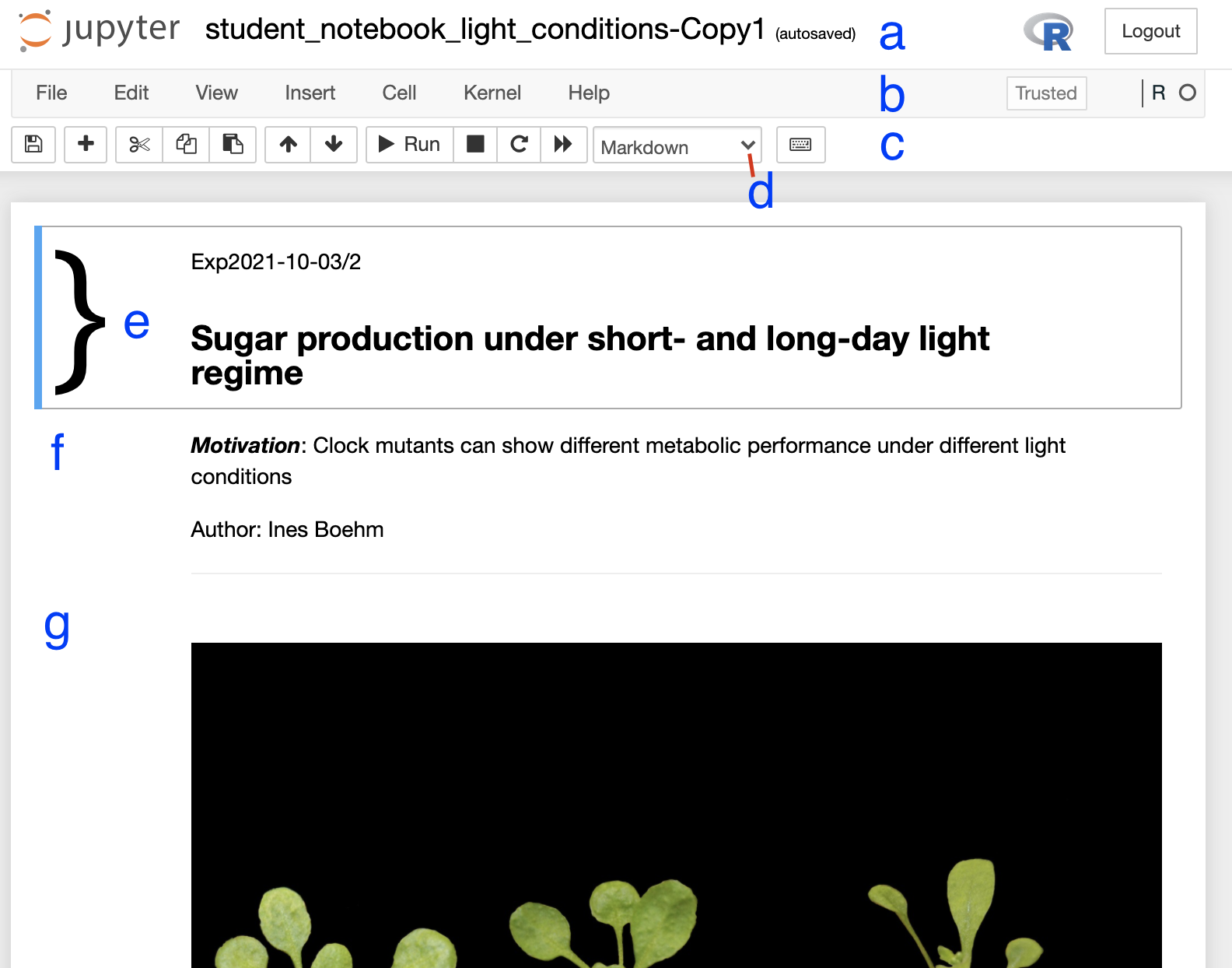 Figure 2. Anatomy of a Jupyter notebook: (a) depicts the name of thenotebook, (b, c) are toolbars, (c) contains the most commonly usedtools, (d) shows of what type - Markdown, Code etc... - the currentlyselected cell is, and (e-g) are examples of cells, where (e) shows thecurrently selected cell.
